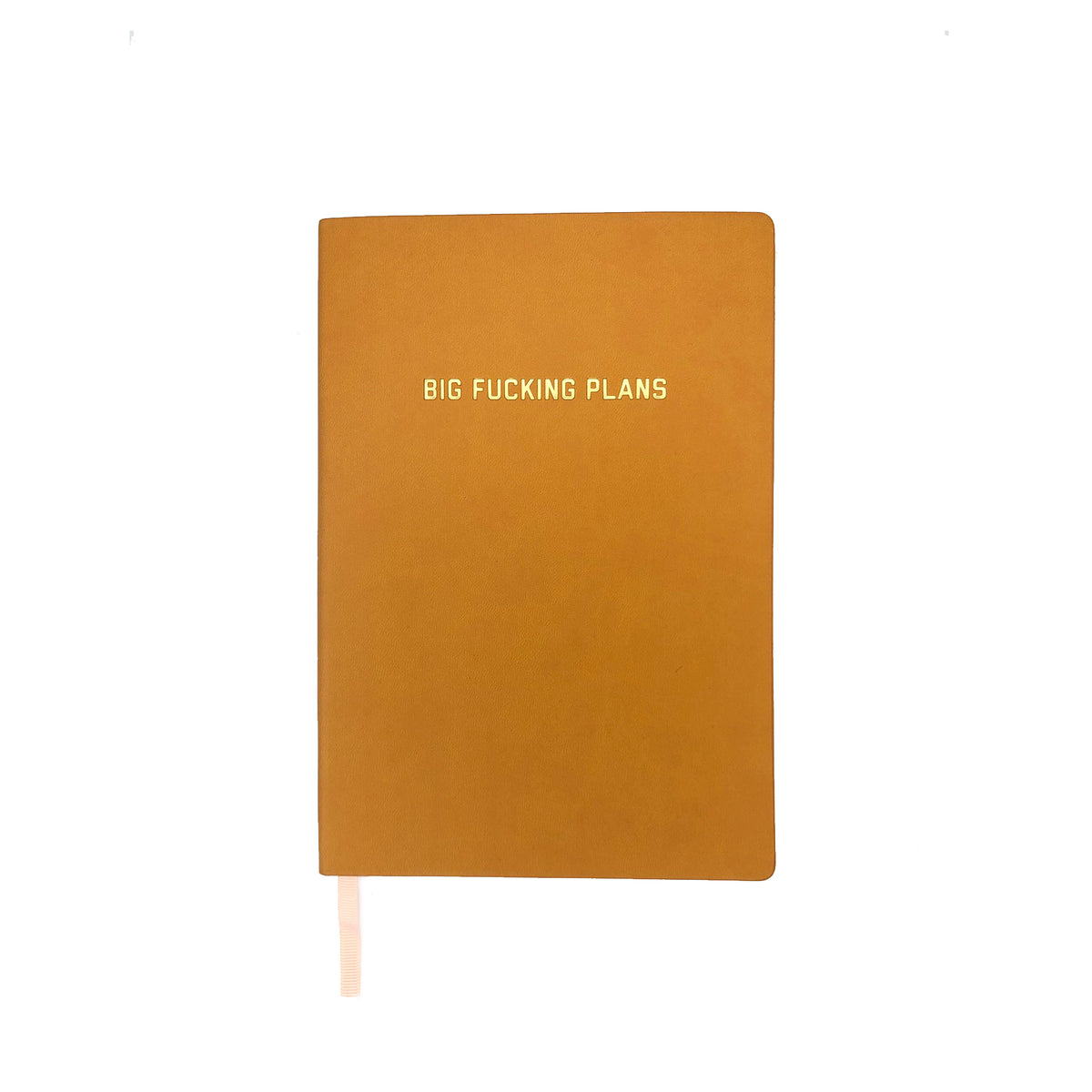 Big Fucking Plans Dotted Journal