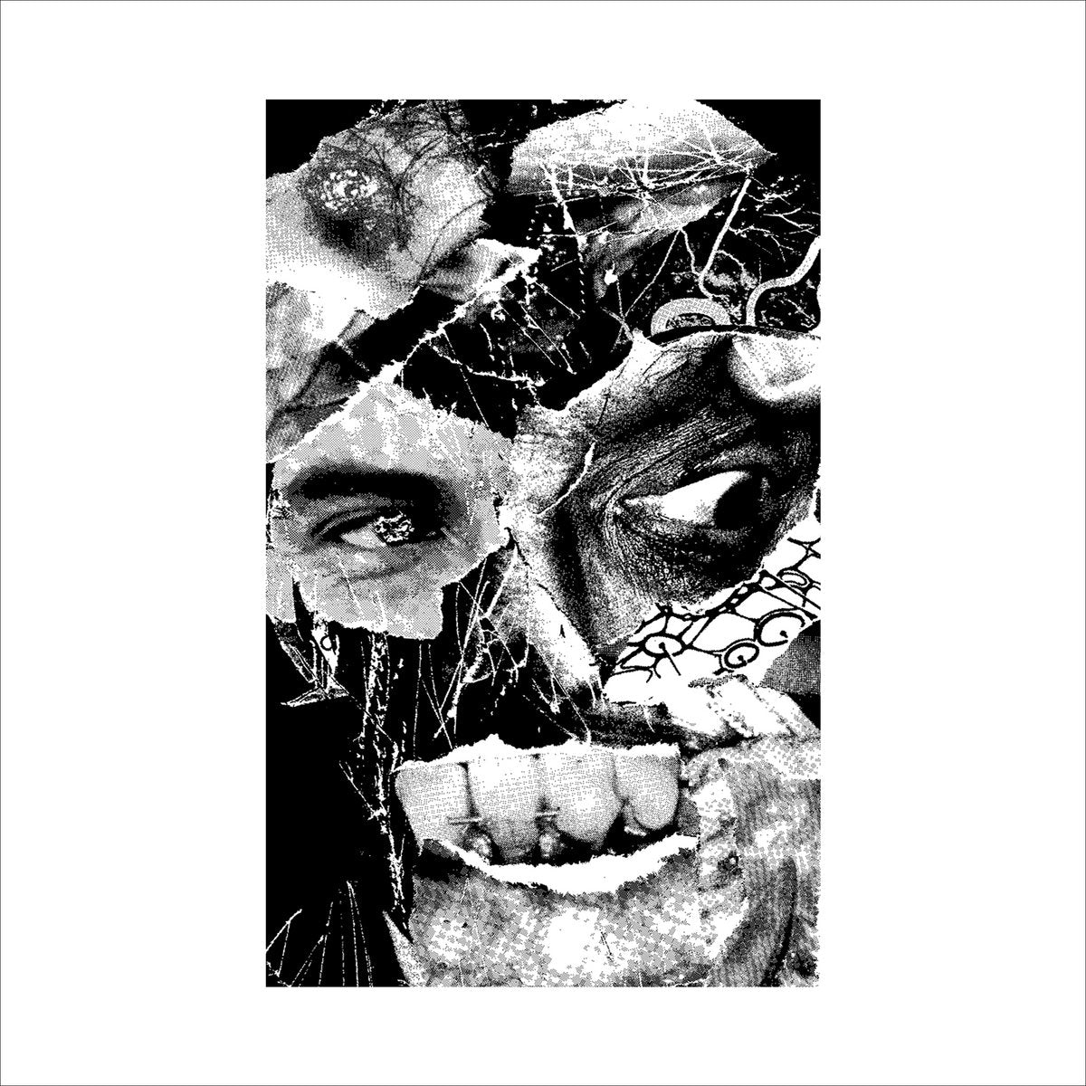 Vinyl Records – Vinyl Fantasy BK